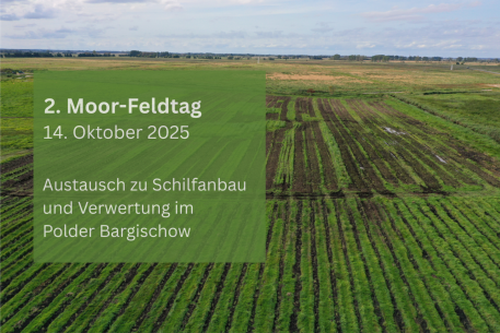 Moor-Feldtag in Bargischow