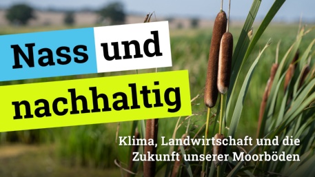 Podcast: Nass und nachhaltig